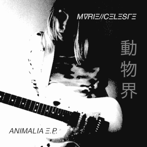 Animalia