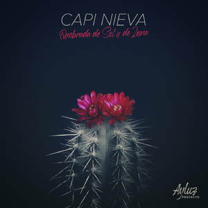 Quebrada de Sol y de Luna (feat. Llokallas, Noelia Gareca, Carolina Escobar, Carlos Mamani, Lucho Cardozo, Daniela García, Becho Riveiro, Daniel Quiroga, Juan Cruz Torres, Franco Paredes, Emanuel Paredes, Jesy Carrasco, Viti Alba, Alexander Cruz, Carlos E