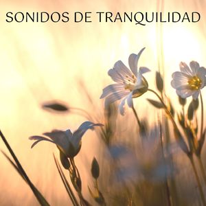 La Transformación Espiritual