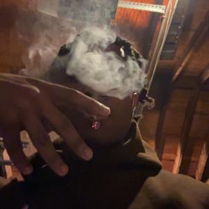 Can’t Snake A Snake