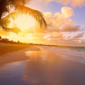 像极了（降速降调）