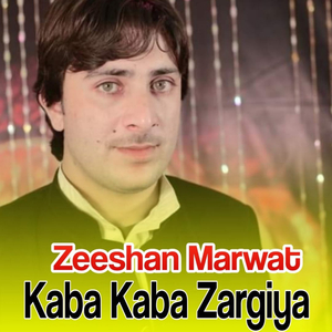 Sawaza Zargiya
