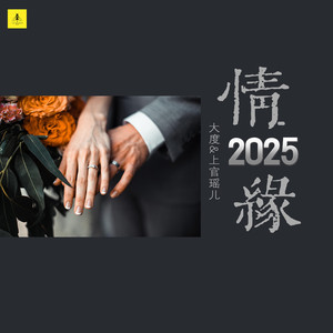情缘2025