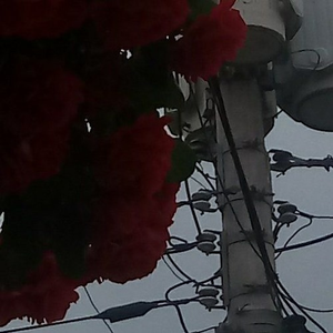 it hurts to know i wont be reaching out to you