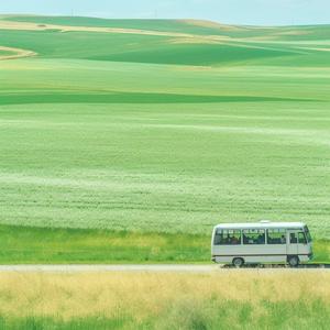 孤独的岛（清爽版）