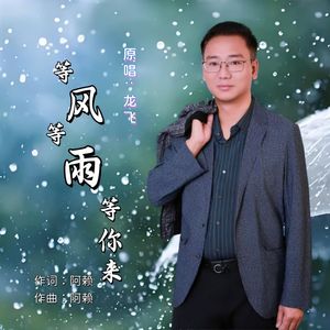 等风等雨等你来