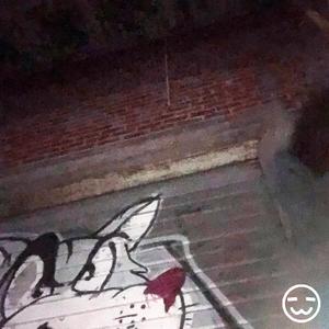 Drop down (feat. yacine!)