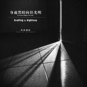 我在黑暗里向往着光明