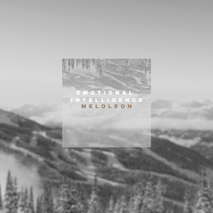 Emotional Intelligence