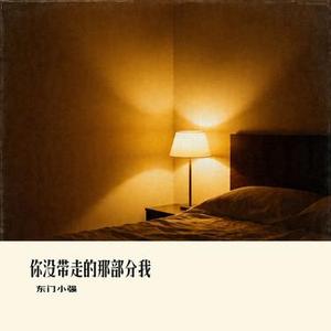 你没带走的那部分我