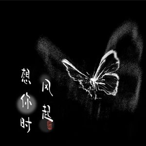 想你时风起