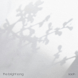 the bright song