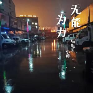 无能为力（prod by FRESH_ye）