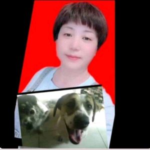 请帮我把小雄抱回来ZXH8-张晓红