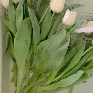 刚看完讲话稿 (3)