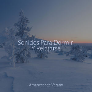 Viaje a la Majestuosidad