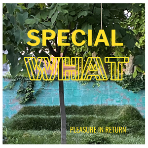 Yes, yoked. Disembogue into dialogue, your portion loose in the pattern.