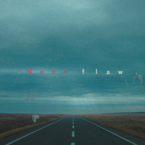Flaw (Single Edit)
