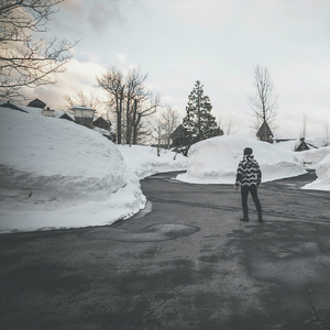 Daydream. [Remix] (feat. Woodzy)