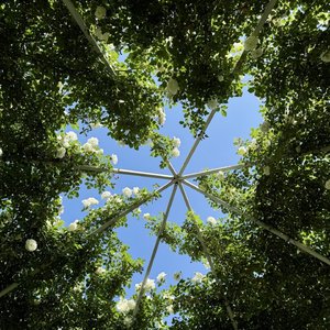 在银河中孤独摇摆