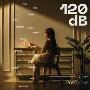 120dB