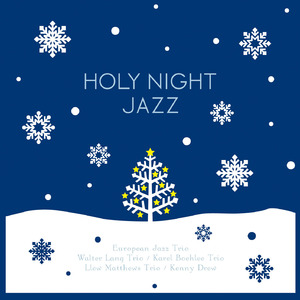 Silver Shimmering Snowflakes