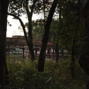 面无表情的痛苦