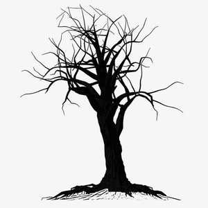 没长大（prod by FRESH_ye）