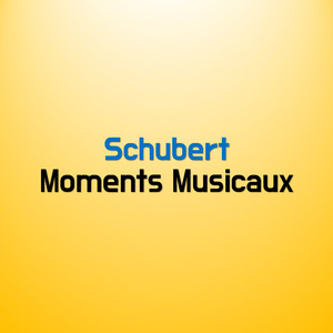 舒伯特音乐瞬间