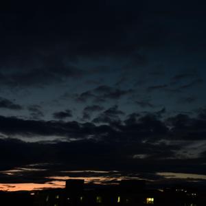 한 여름밤의 강변