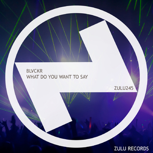 What Do You Want To Say (Original Mix)