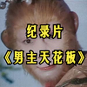 大型纪录片《最佳男主》