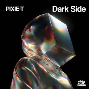 Dark Side Of The Moon