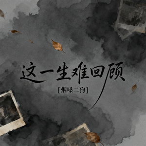 这一生难回顾