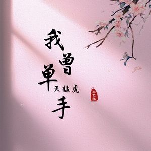 我曾单手灭猛虎