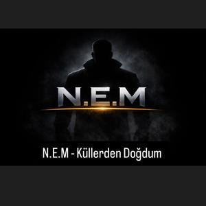 Küllerden Doğdum