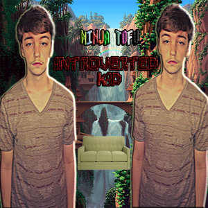 Ninja Tofu x ION - Lets Go (Prod.YungSoup)