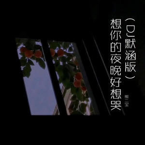 想你的夜晚好想哭 (DJ默涵版)