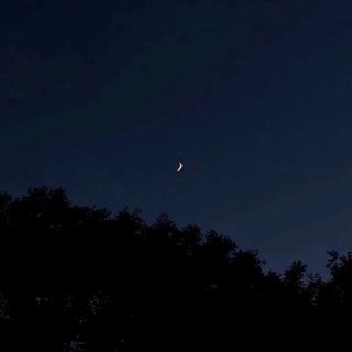 【为你写歌】那些被用作歌名的芳名