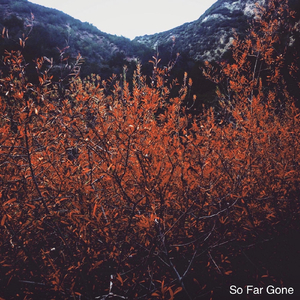 So Far Gone