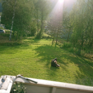 Smiling on Top of the World