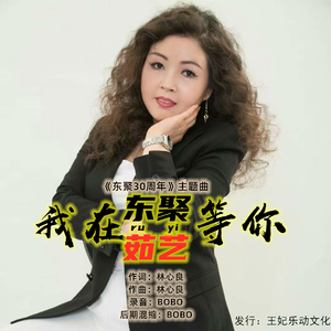 我在东聚等你