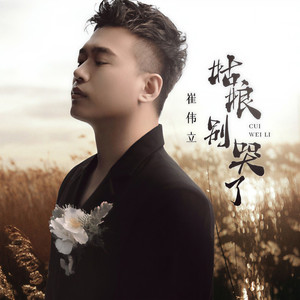 姑娘别哭了 (DJ默涵版伴奏)