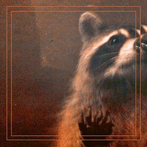 Heavy Drive featuring Jungle Butterfly (feat. Jungle Butterfly & Jungle Butterfly)