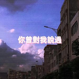 你曾对我说过