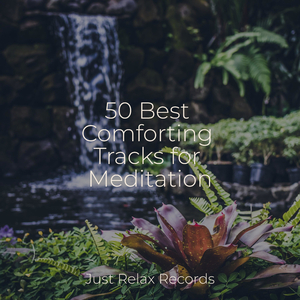 Phantom Moonlight Slumber