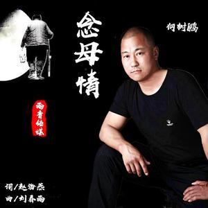 刘春雨-念母情（何树鹏 remix）
