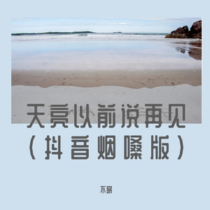 天亮以前说再见（烟嗓版）-半吨兄弟