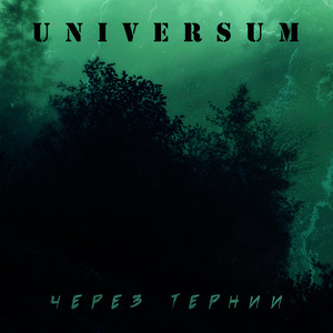 Через тернии