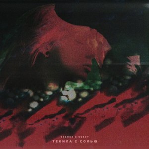 Текила с солью (feat. Soboy)